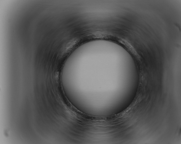 X0000093470066200710121019