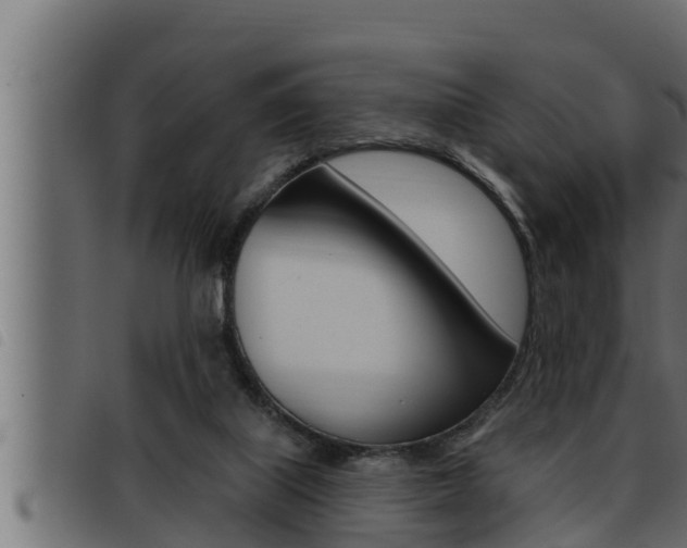 X0000093470067200710121019