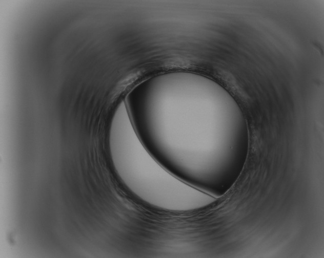 X0000093470068200710121019