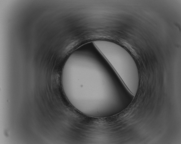 X0000093470071200710121019