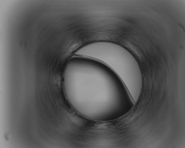X0000093470072200710121019