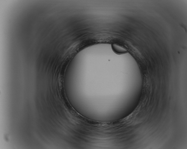 X0000093470074200710121019