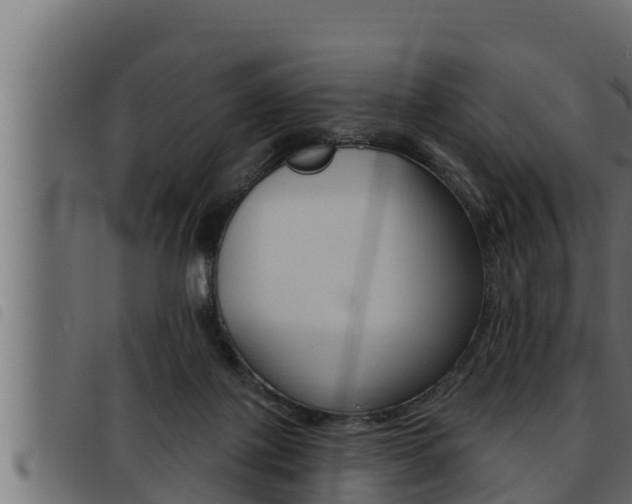 X0000093470075200710121019