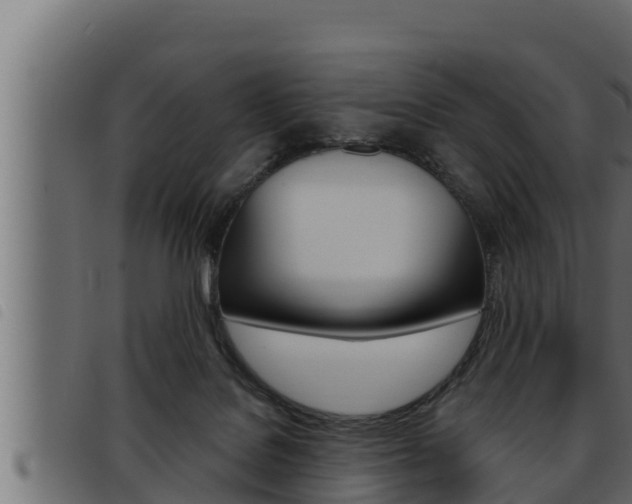 X0000093470076200710121019