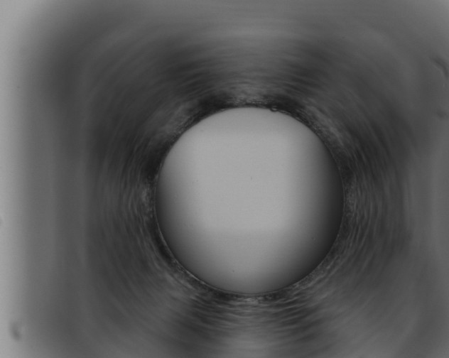 X0000093470079200710121019