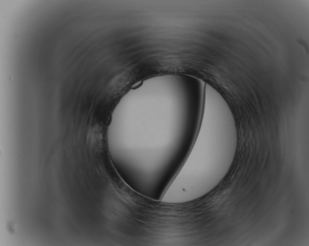 X0000093470080200710121019