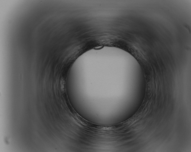X0000093470081200710121020