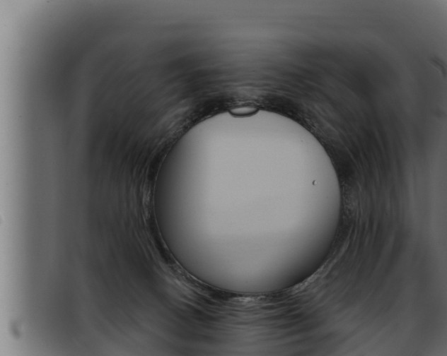 X0000093470082200710121020