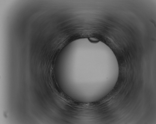 X0000093470083200710121020