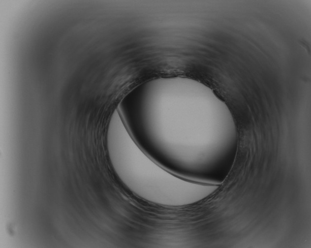 X0000093470084200710121020