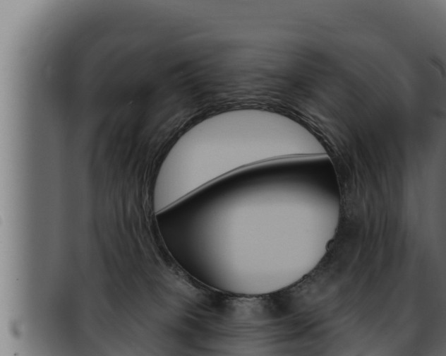 X0000093470085200710121020