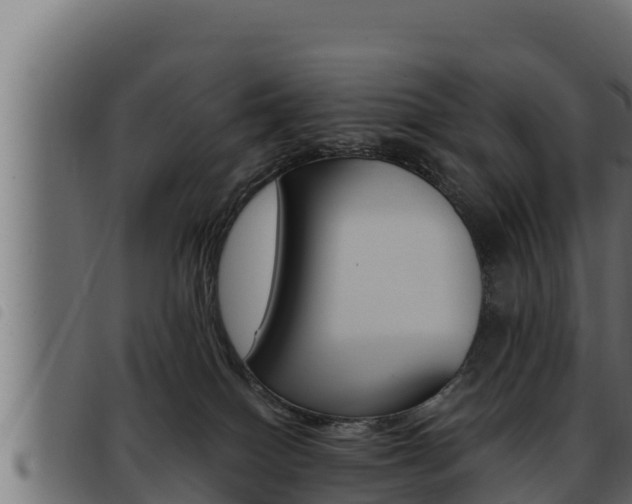X0000093470086200710121020