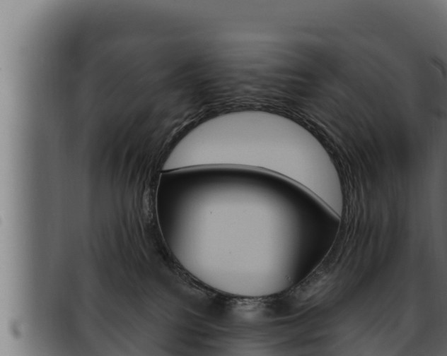 X0000093470088200710121020