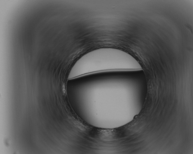 X0000093470089200710121020