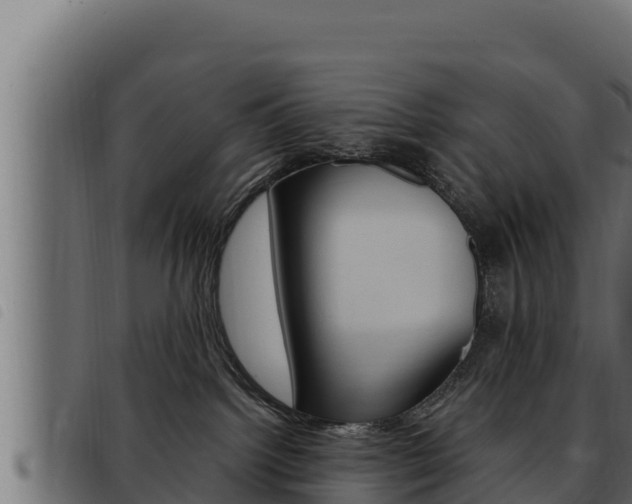 X0000093470092200710121020