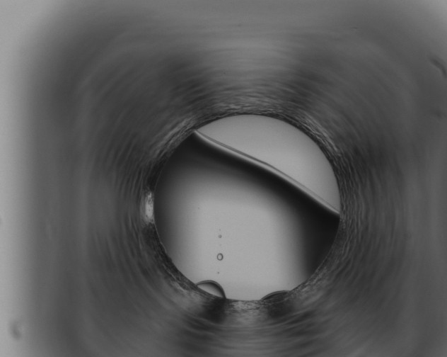 X0000093470095200710121020