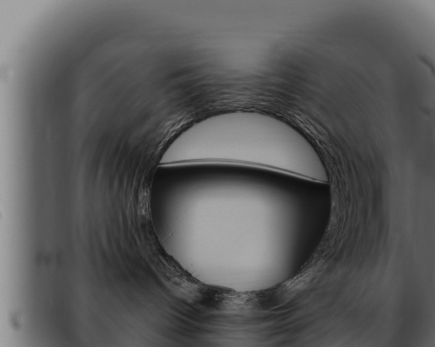 X0000093470096200710121020