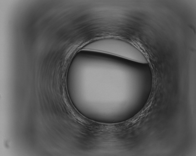 X0000093470097200710121019