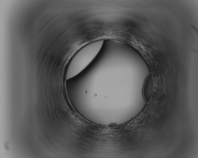 X0000093470098200710121019