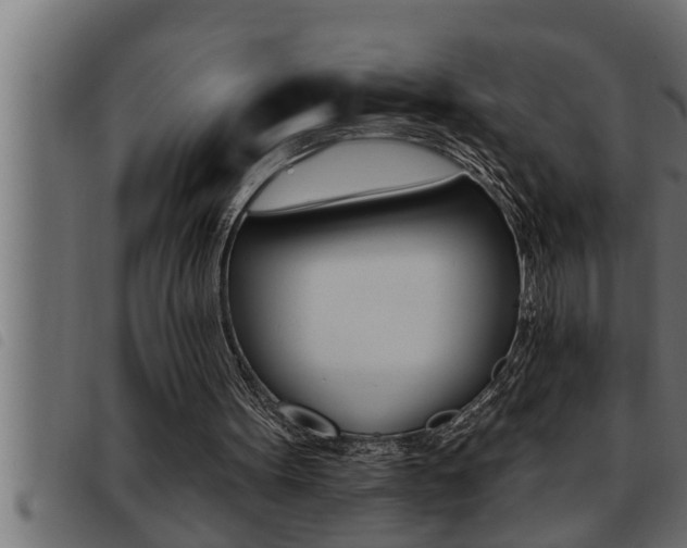 X0000093470099200710121019