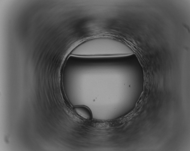 X0000093470100200710121019