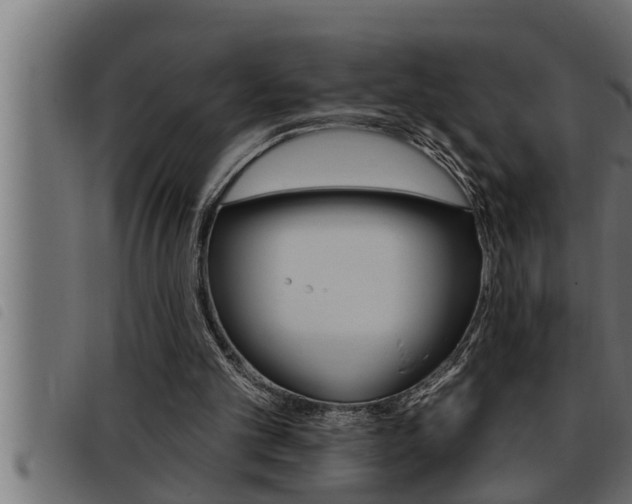X0000093470101200710121019