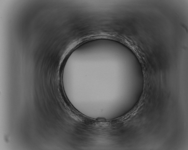 X0000093470102200710121019