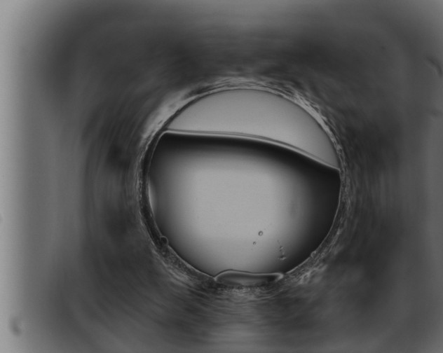 X0000093470103200710121019
