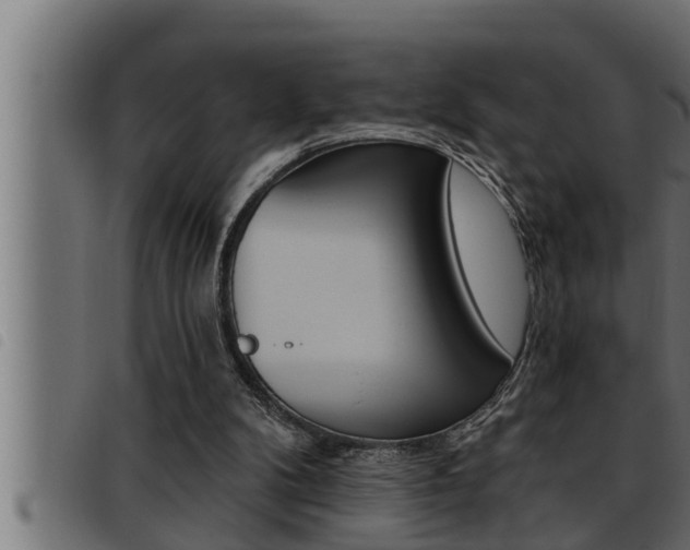X0000093470104200710121019