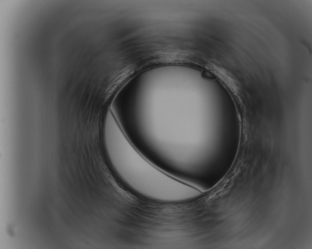 X0000093470105200710121019