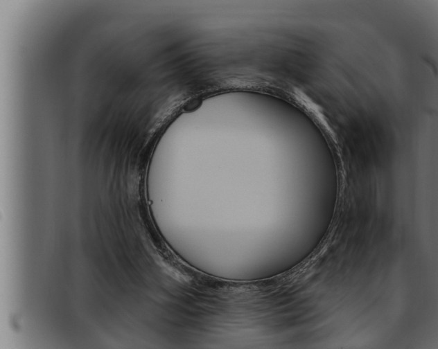 X0000093470106200710121019