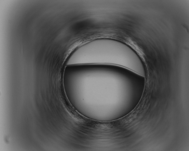 X0000093470107200710121019