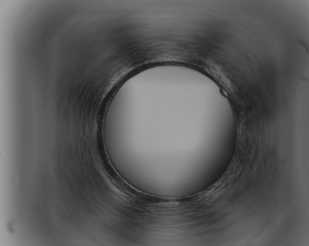 X0000093470108200710121019