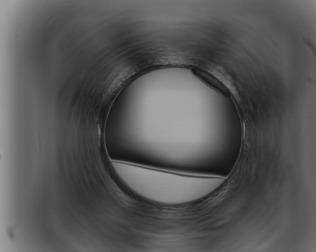 X0000093470109200710121019