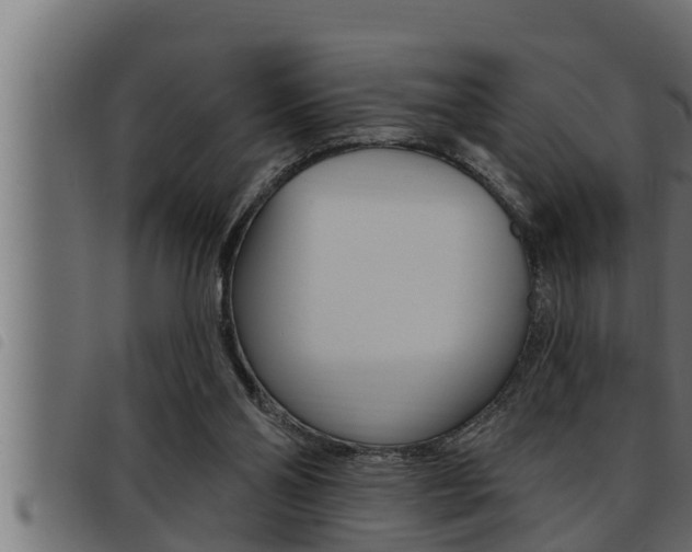 X0000093470110200710121019