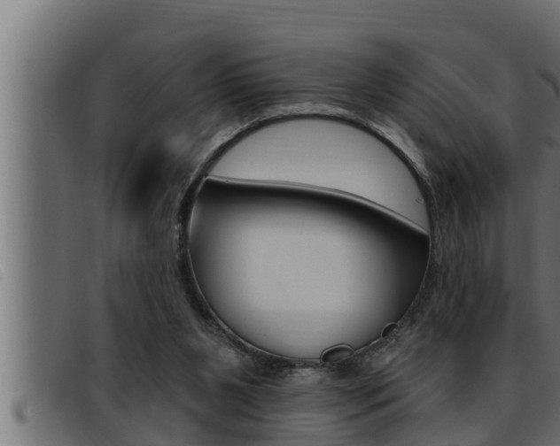 X0000093470111200710121019