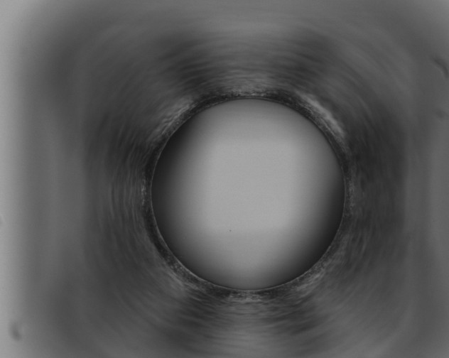 X0000093470113200710121019