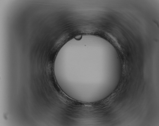 X0000093470114200710121019