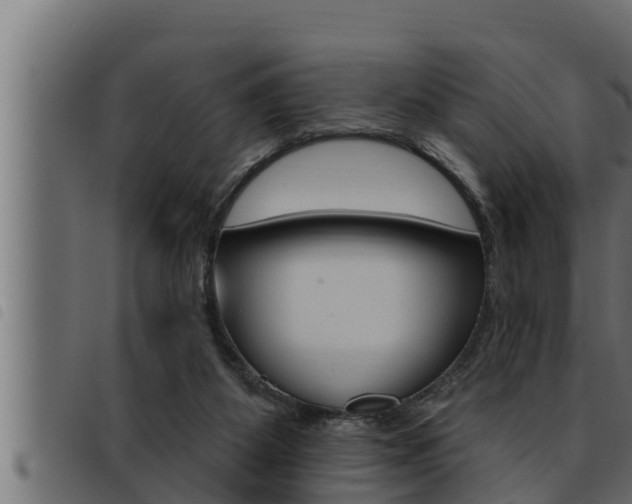 X0000093470115200710121019