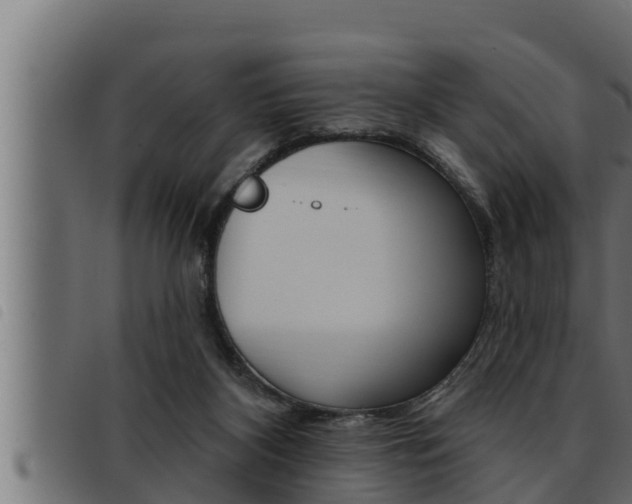X0000093470116200710121019