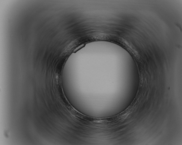 X0000093470117200710121019