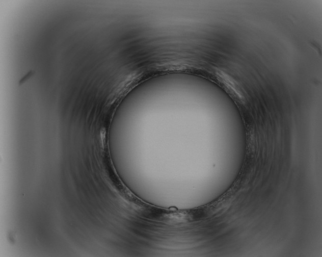 X0000093470118200710121019