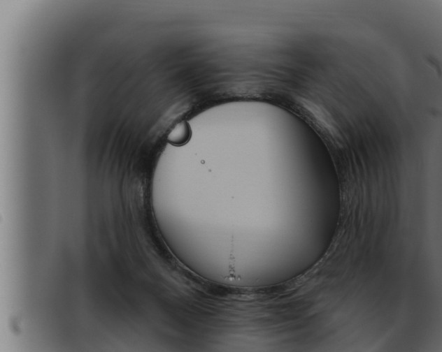 X0000093470120200710121019