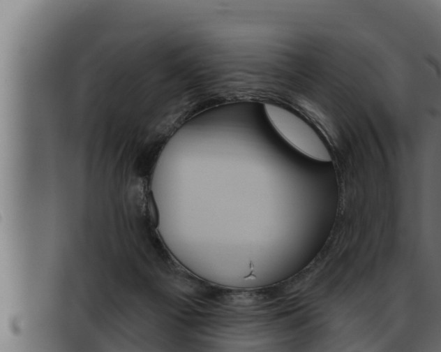 X0000093470121200710121019