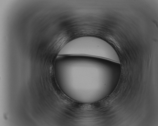 X0000093470123200710121019