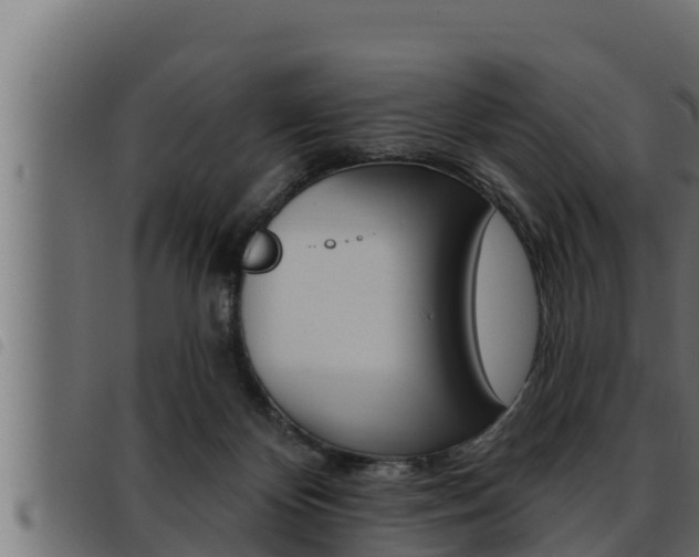 X0000093470124200710121019