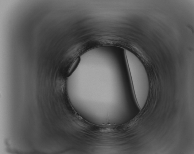 X0000093470125200710121019