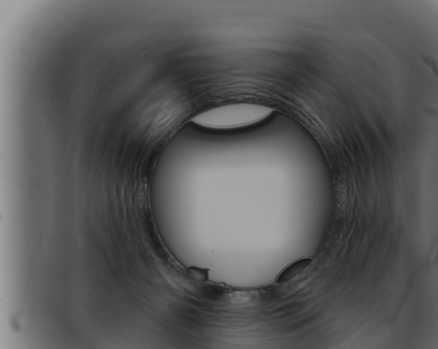 X0000093470126200710121019