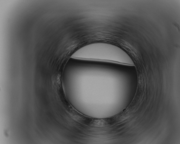 X0000093470127200710121019