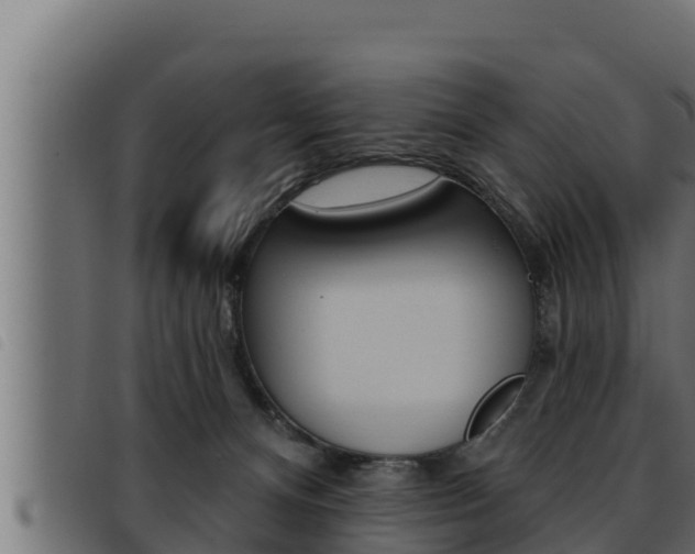 X0000093470128200710121019